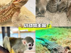 -海合安武汉极地海洋公园