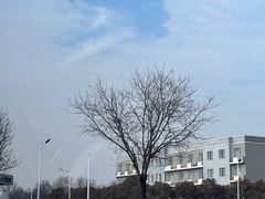 -小崔家臊子面(蔡家坡总店)