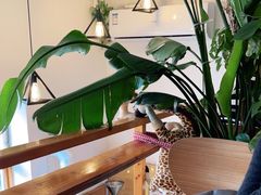 -长颈鹿咖啡(大学路店)