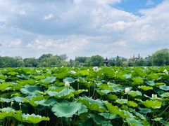-云龙湖旅游景区