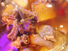 -美食小镇·观赏珍稀鸟类·长隆熊猫酒店