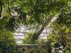 -呀路古热带植物园