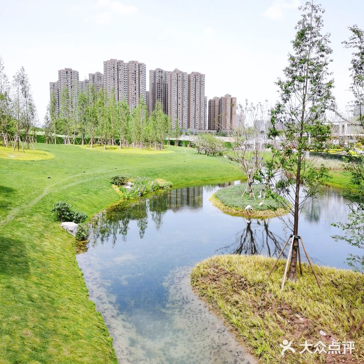 马斯蒂灰大理石应用：奥园|成都麓语ONE