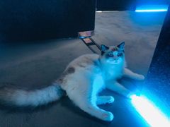 -零纪元VR体验馆·桌游(黄浦店)