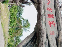 -蔡家宅