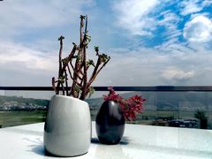 -无有景观餐厅·铜瓢牛肉·下午茶