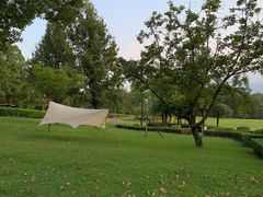 -福建鲤鱼洲酒店