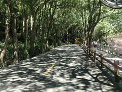 -普陀山风景名胜区-法雨禅寺