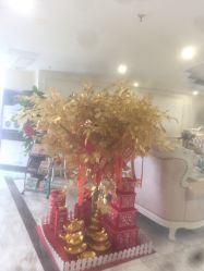 点击看大图 -雪儿海蒂·女性私密整形专科