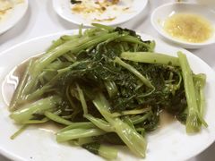 -新陶陶酒家
