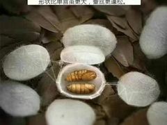 -盐城大有境(解放南路店)