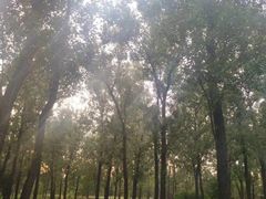 -森林公园(尖草坪区)