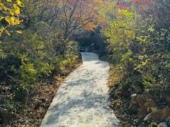 -古崖居风景名胜区