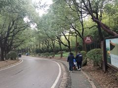 -南京市江宁方山