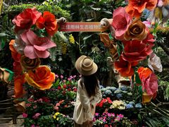 -正佳雨林生态植物园