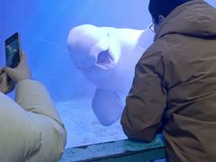 -大连圣亚海洋世界