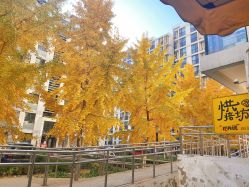 -陪我玩图书馆·烘焙坊·综合亲子馆