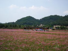-红山村