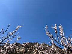 -北京凤凰岭