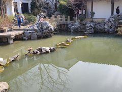 -巡塘古镇