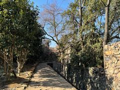 -许家山