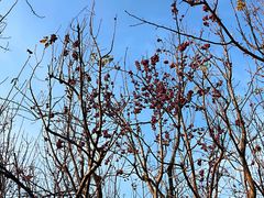 -春晖园度假酒店温泉