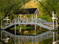 -上海共青森林公园