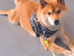 -My Way Town买味堂·东南亚餐厅(亦庄店)