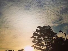 -北京师范大学(珠海校区)