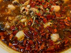 -春和發特色蒸饺(浐河西路店)
