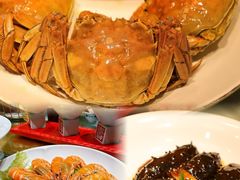 -大海碗·炸酱面·烤鸭·京菜(天坛店)