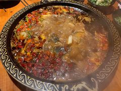黄辣丁-三道苗苗鱼·美蛙黄辣丁(八里店)
