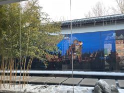 -爱儿美儿童摄影(朝阳公园店)