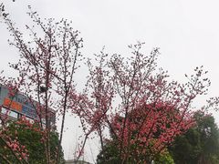 -成都东站