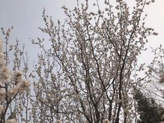 -滨河世纪广场公园