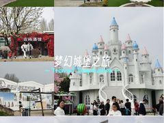 -莫子山公园