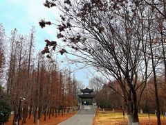 -梁鸿国家湿地公园