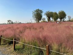 -汉长安城未央宫国家考古遗址公园