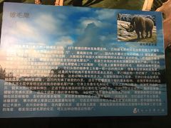 -枫叶小镇奥特莱斯