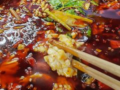 -重庆乌鱼庄·龙滋鲜(青羊大道店)