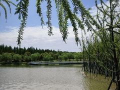 -春花秋色城市公园