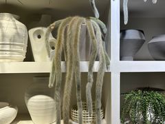 -自由生长植物工作室(深港花卉中心店)
