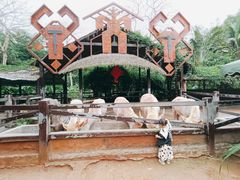 -海南热带野生动植物园