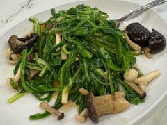 松菇青龙菜-龙海鲜螃蟹王(宏茂桥店)