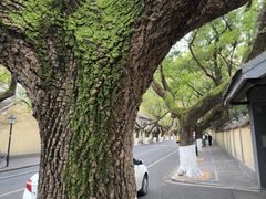 -颐和路民国时期公馆风貌区