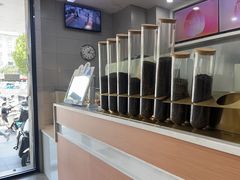 -雾与山茶(大禹城店)