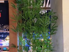 -九田家黑牛烤肉料理(溧阳吾悦店)