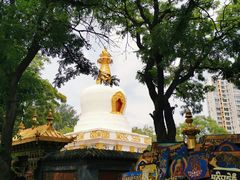 -护国法轮寺