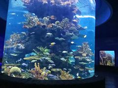 -多彩贵州城极地海洋世界