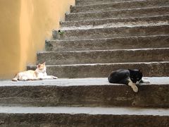 -宝通禅寺